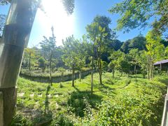 -中国大熊猫保护研究中心雅安碧峰峡基地