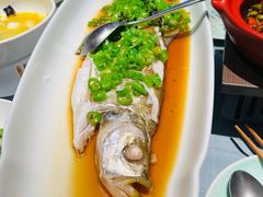 -苏帮袁Sue Cuisine(将台店)