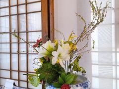 -厦门园林博览苑