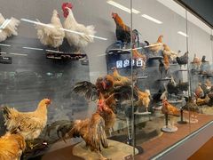 -昆明动物博物馆