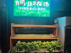 -老阿爸鲜鱼土菜(昆山花桥店)