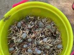 -北海金海湾红树林生态旅游区