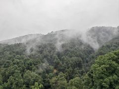 -铁山坪森林公园