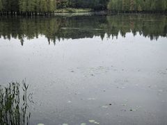 -白鹭湾湿地公园
