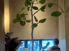 -陶享时光西餐·下午茶(信河街店)