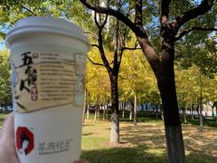 -茶颜悦色(花园道店)