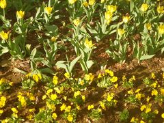 -长春公园(普阳街道)