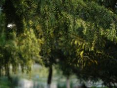 -后襄河公园