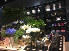 -BEAST野兽派(上海浦东嘉里城店)