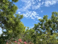 -融园咖啡馆(昙华林店)