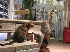 -小时光咖啡馆(开森度假森林店)