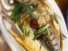 乌镇白水鱼-印象江南(东栅店)