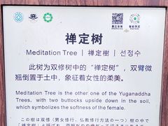 -普乐寺