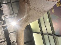 -深圳百老汇电影中心(IMAX万象天地店)