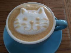 -海边的猫和咖啡馆