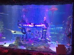 -沈阳海洋探索中心