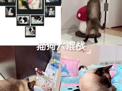 -无锡动物园·太湖欢乐园