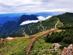 -白草畔自然风景区