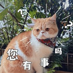 点击看大图 -宸山医美·变美艺术馆