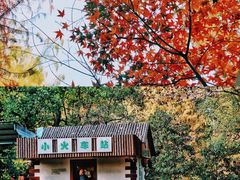 -共青国家森林公园-售票处