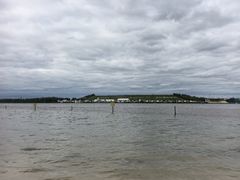 -呼兰河口湿地公园