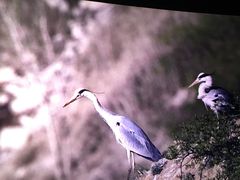 -奥斯卡西元国际影城(4K激光巨幕&杜比全景声沙发座椅)