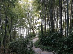 -天目湖涵田度假村