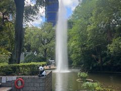 -九龙公园