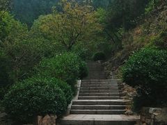 -佛慧山