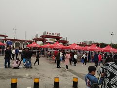-曹州牡丹园