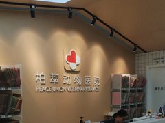 -柏萃动物医院·骨科·牙科