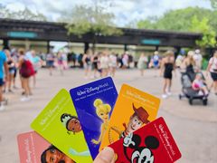 -奥兰多迪士尼动物王国乐园