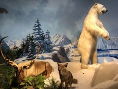 -陕西自然博物馆