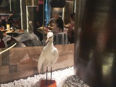 -老板恋上鱼(印象城店)