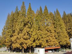 -温莎KTV(珠江路店)