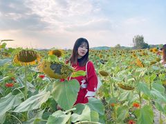 -映月湖中央公园