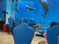 -小海豚•老字号海鲜餐厅(天涯店)