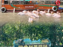 -广州长隆飞鸟乐园