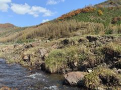 -塞罕坝国家级自然保护区