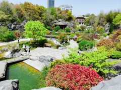 -上海吴淞炮台湾国家湿地公园