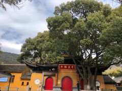 -宝岩生态观光园