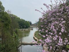 -广州市帽峰山景区