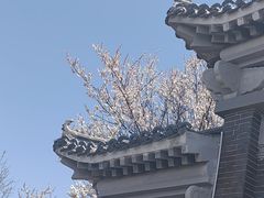 -终南山南五台景区