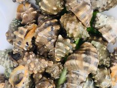 血煮海螺-合家小菜餐馆(新诚花苑店)