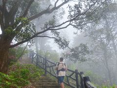 -广州市石门国家森林公园