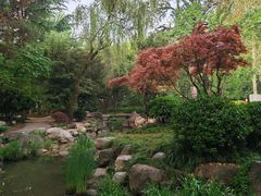 -唐城墙遗址公园