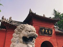-洛阳白马寺