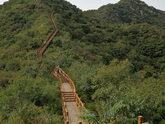 -大岭沟猕猴桃谷风景区