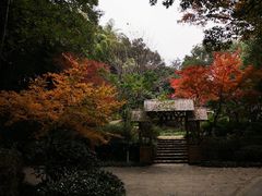 -上海市保健医疗中心