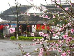 很美的环境呢-旺福楼(钱家坞总店)
